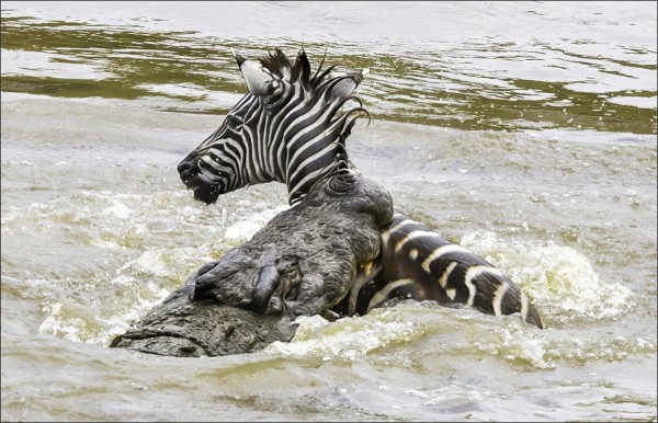 J1S3I45